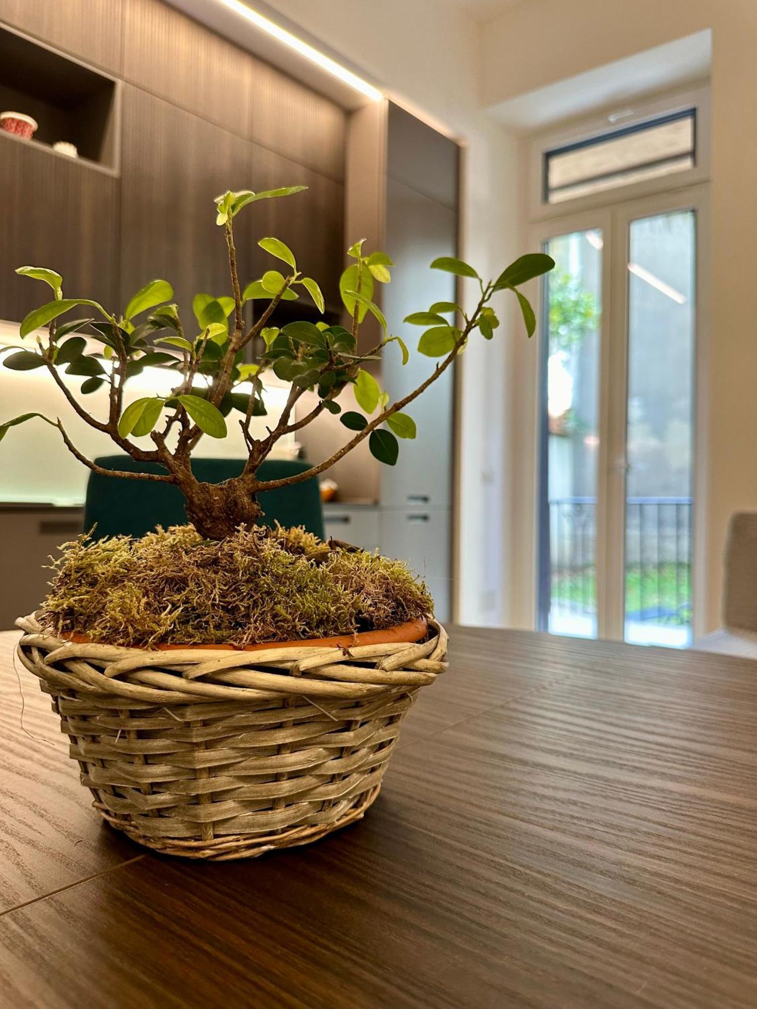 Appartamento Lr Deluxe - Porta Venezia - Bilocale Con Giardino Privato